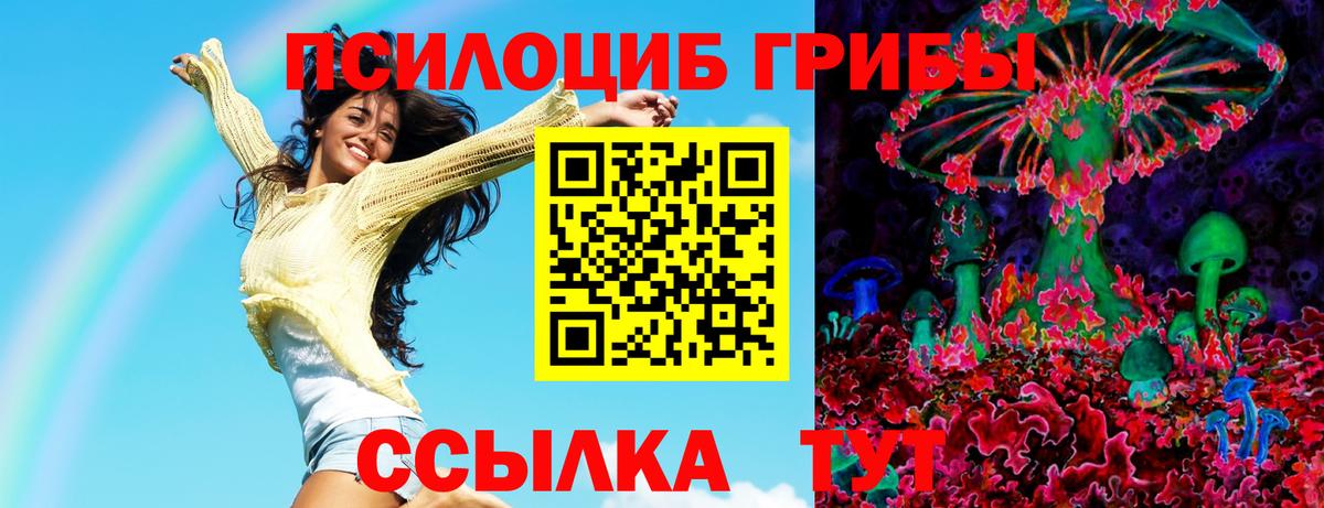где купить наркотик  Вход с VPN  Псилоцибиновые грибы прущие грибы  Избербаш  Псилоцибиновые грибы ЛСД 